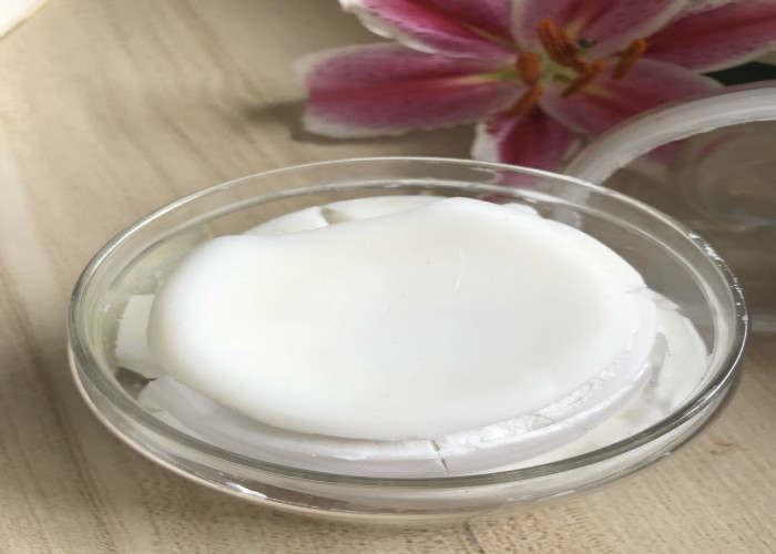 Light Golden Organic Solid Cocoa Butter, Natural Cocoa Butter Untuk Kulit